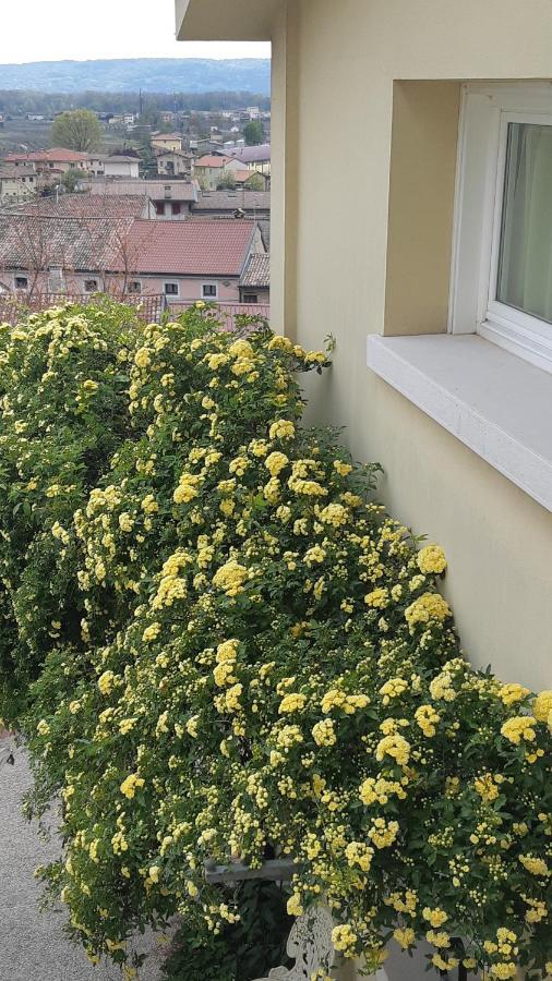 Casa Marinelli Otel Farra di Soligo Dış mekan fotoğraf